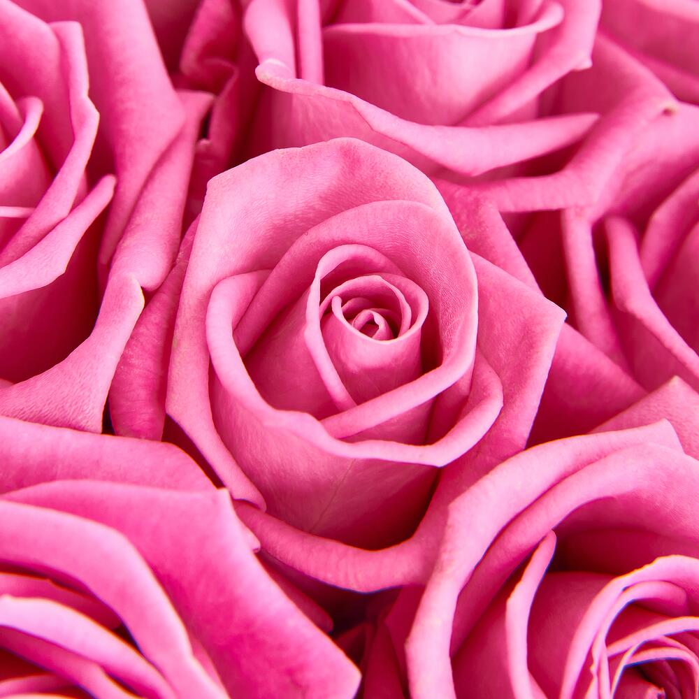 Букет из 19 розовых роз