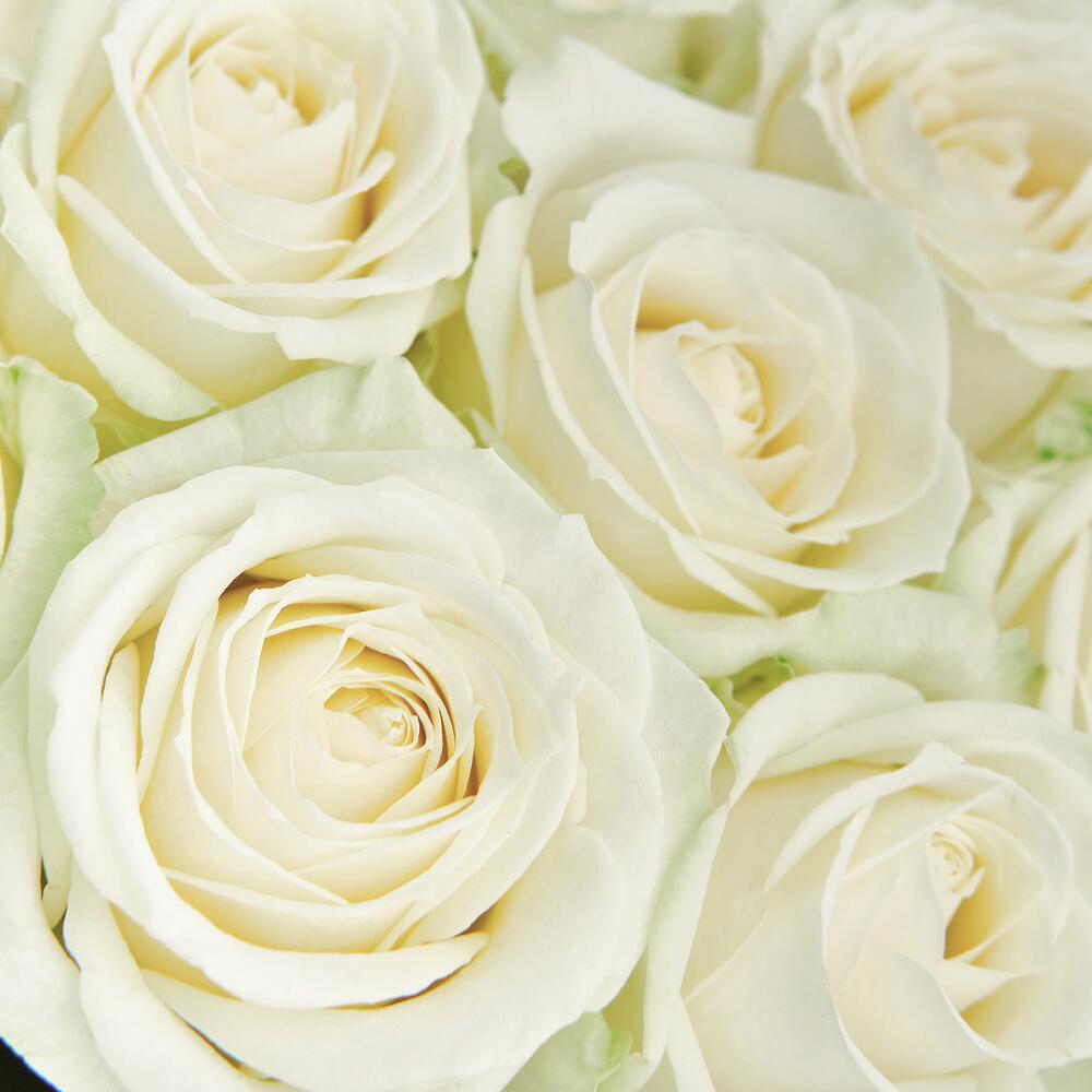 Букет из 19 белых роз в дизайнерской упаковке.