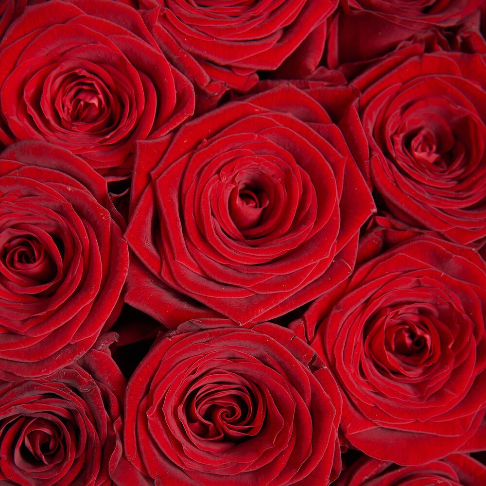 Букет мечты: 51 красная роза