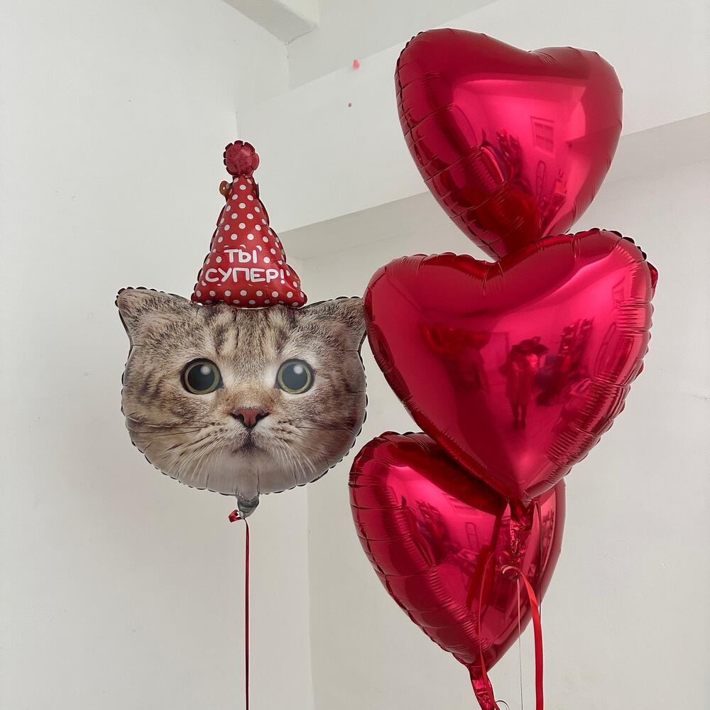 Воздушные шарики в форме сердца с кошкой