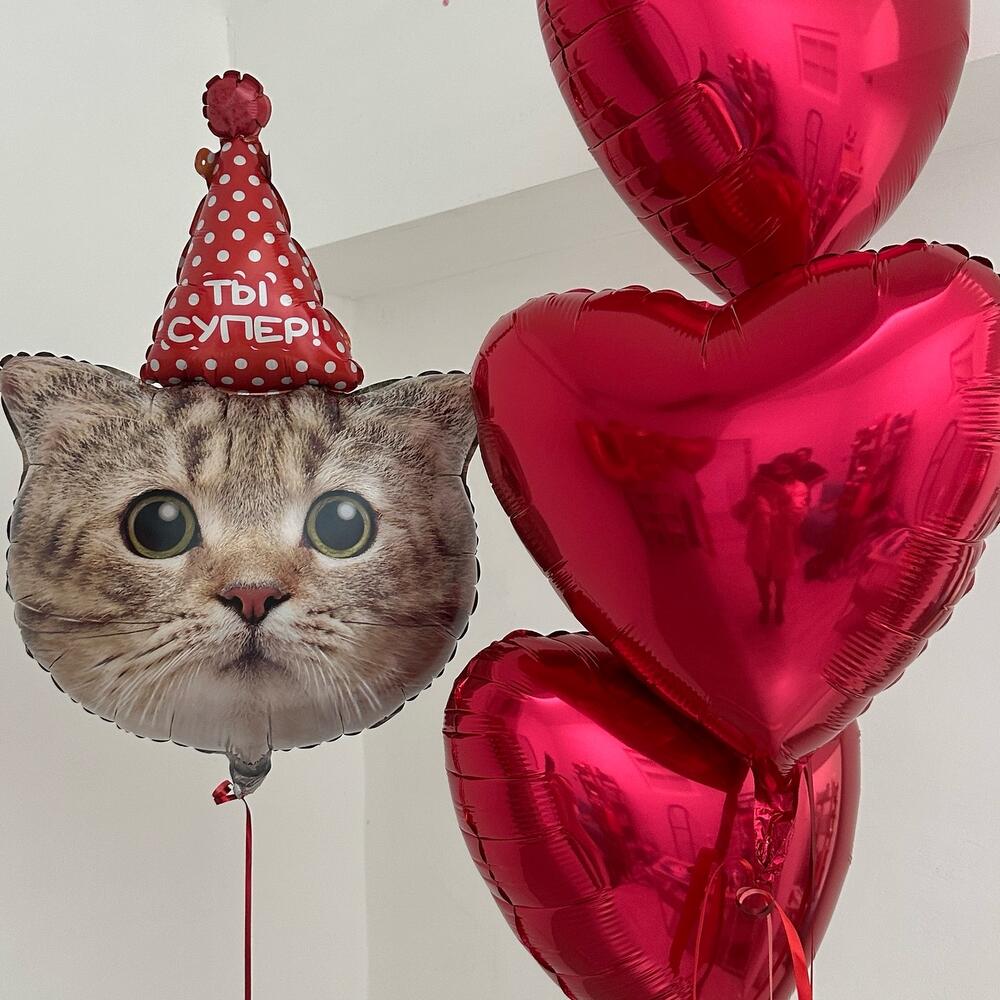 Воздушные шарики в форме сердца с кошкой